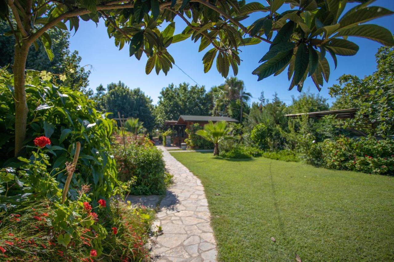 Ugur Pansiyon Bungalows Cirali Exterior photo