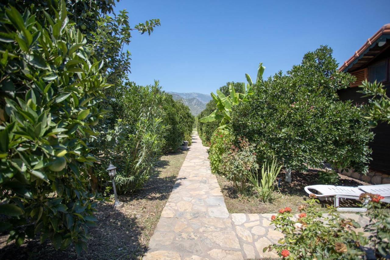 Ugur Pansiyon Bungalows Cirali Exterior photo
