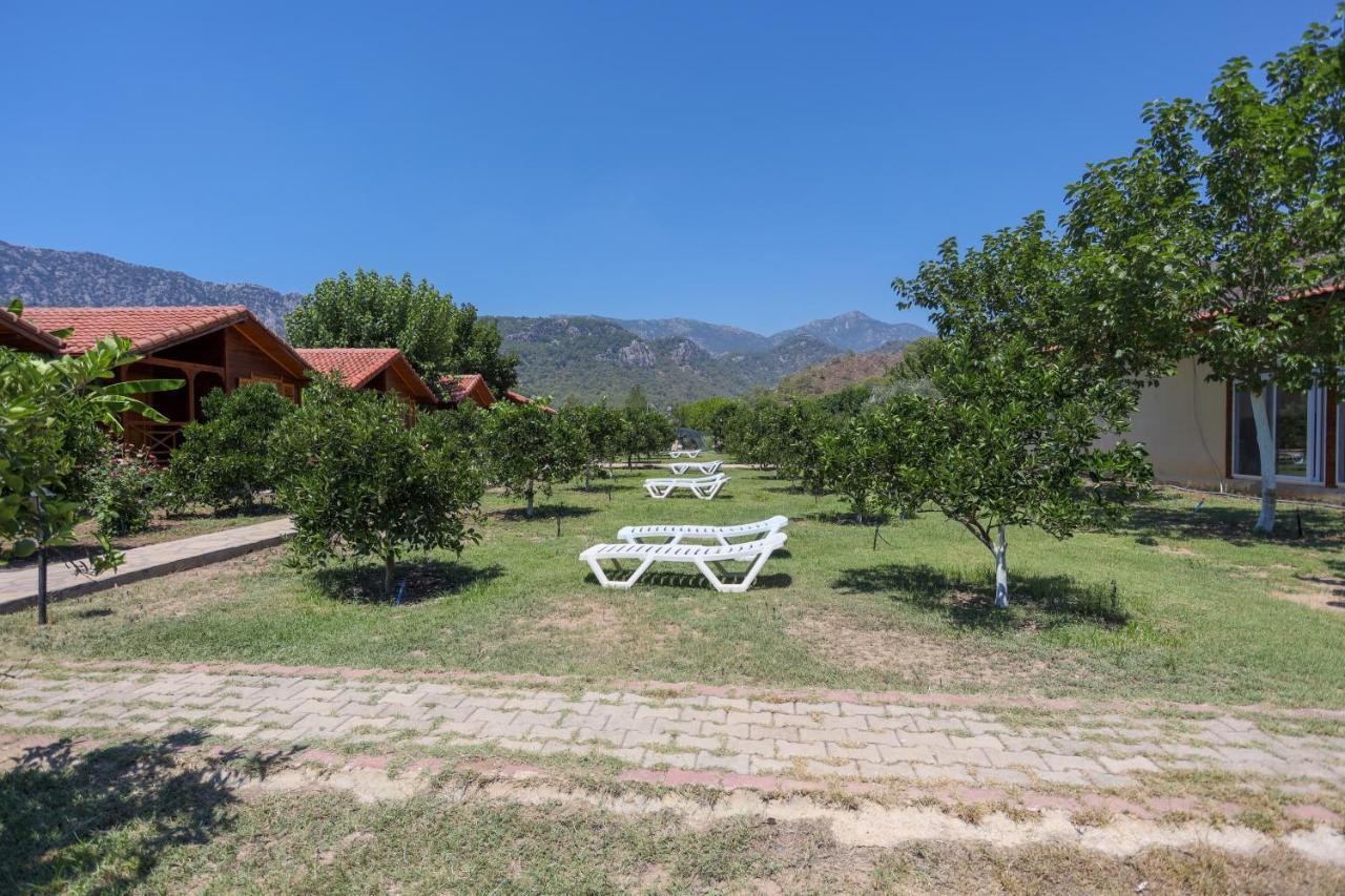 Ugur Pansiyon Bungalows Cirali Exterior photo